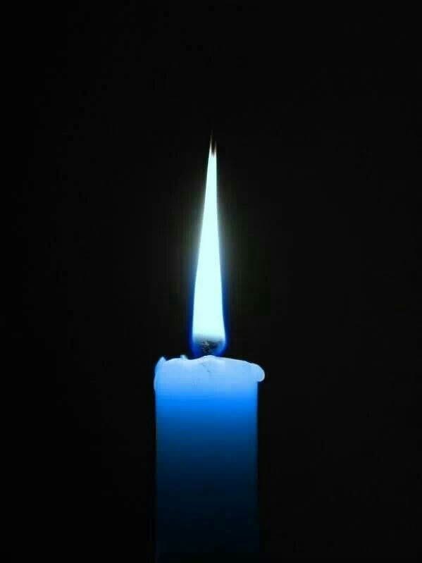 In Loving Memory of Madisson Cobb (2002 – 2025): Heartbreak in Haysboro as 23-Year-Old Tragically Killed in Targeted Shooting